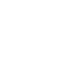 Icon5 300x297