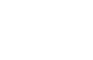 Icon6 300x193